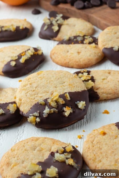 Stack of chocolate-dipped orange sugar cookies