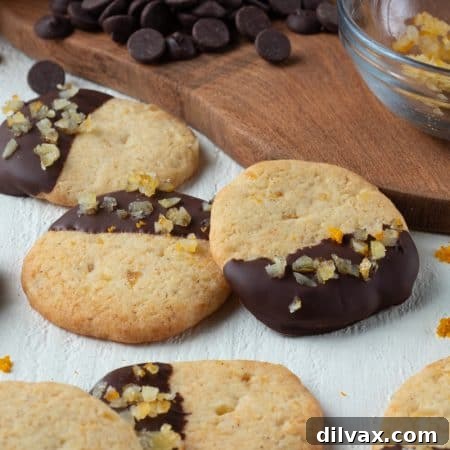 Close-up of a single Chocolate Dipped Orange Sugar Cookie