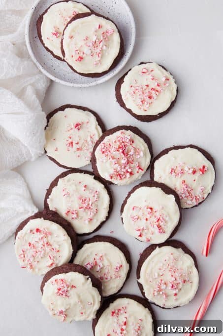 Chocolate Cookies with Peppermint Frosting