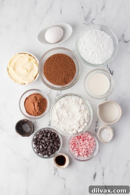 Ingredients for Chocolate Peppermint Cookies