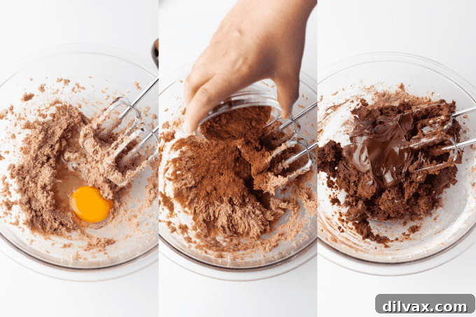 Process photos for making chocolate cookies.