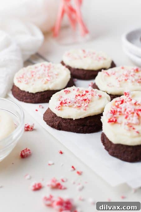 Peppermint Frosting on Chocolate Cookies.
