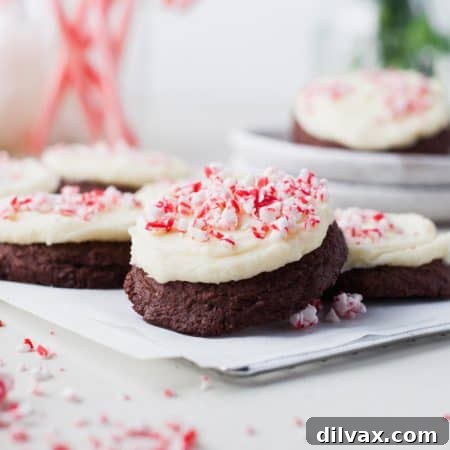 Double Chocolate Peppermint Cookies