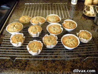 Day 358: The Final Week Begins, Sweetened by Oreo Cupcakes 12 Freshly baked cupcakes cooling on a wire rack.