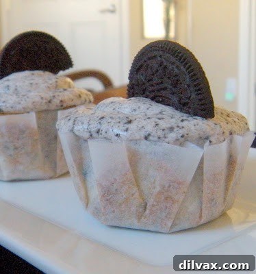 Day 358: The Final Week Begins, Sweetened by Oreo Cupcakes 15 A beautifully frosted Oreo cupcake with a half Oreo garnish.