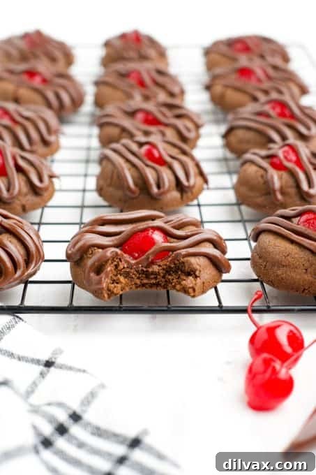 Cherry Kissed Chocolate Cookies 9 A Chocolate Cherry Thumbprint Cookie with a bite taken out, showcasing the delicious cherry center and chocolate drizzle.
