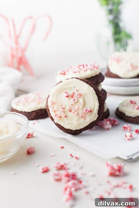 Holiday Cookie Countdown 2022 11 Irresistible Double Chocolate Peppermint Cookies topped with a generous sprinkle of crushed candy canes.