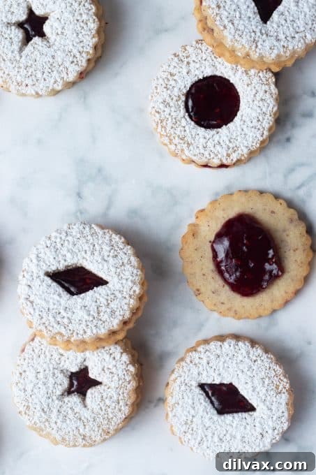 Holiday Cookie Countdown 2022 5 A festive arrangement of Linzer cookies, featuring a delicate dusting of powdered sugar and vibrant raspberry jam filling.