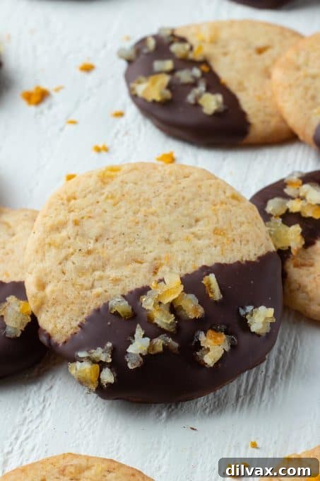 Holiday Cookie Countdown 2022 6 Exquisite chocolate dipped orange cookies, beautifully presented for a festive treat.