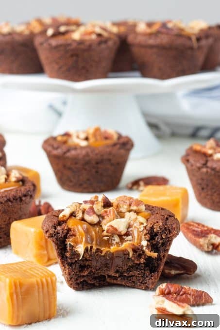 Holiday Cookie Countdown 2022 7 A delectable Turtle Tassie with a bite taken out, showcasing the gooey caramel, dark chocolate, and crunchy pecans within a chocolate cookie cup.