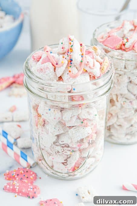 Carnival Critter Chow 3 Circus Animal Puppy Chow in a decorative bowl.