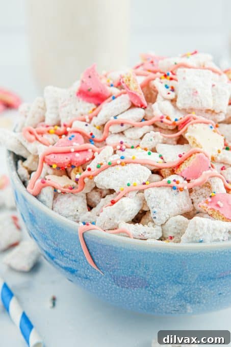 Carnival Critter Chow 8 A bowlful of Chex Circus Cookie Muddy Buddies, colorful and inviting.