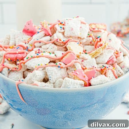 Carnival Critter Chow 9 Circus Animal Puppy Chow