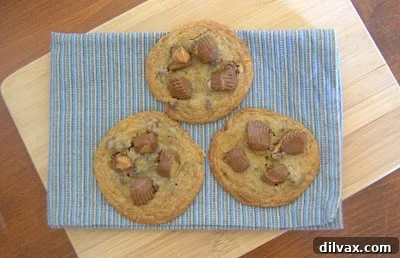 Irresistible Reese's Peanut Butter Cup Cookies 3 Reese's Peanut Butter Cup Cookies