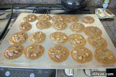 Irresistible Reese's Peanut Butter Cup Cookies 5 A freshly baked Reese's Peanut Butter Cup Cookie, showing its soft texture and melted center.