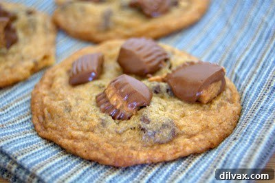 Irresistible Reese's Peanut Butter Cup Cookies 9 Reese's Peanut Butter Cup Cookies stored in an airtight container with parchment paper dividers.