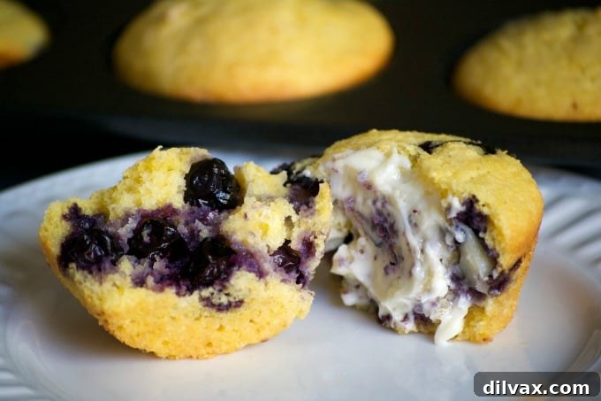 Delicious Blueberry Cornmeal Muffins with a golden-brown top, studded with fresh blueberries, resting on a wire rack.