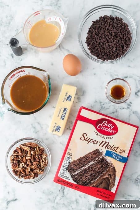 A selection of ingredients laid out for making Turtle Gooey Bars: cake mix, butter, egg, vanilla, chocolate chips, pecans, condensed milk, and caramel sauce.