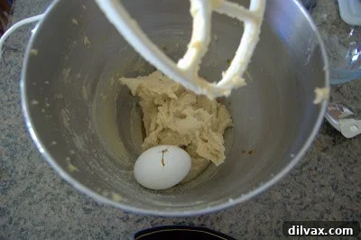 Adding egg and vanilla to the mixture.