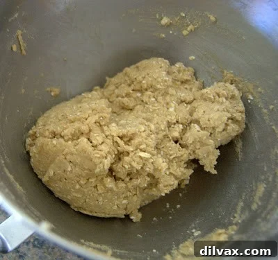 Folding in oats, carrots, and pecans into cookie dough.