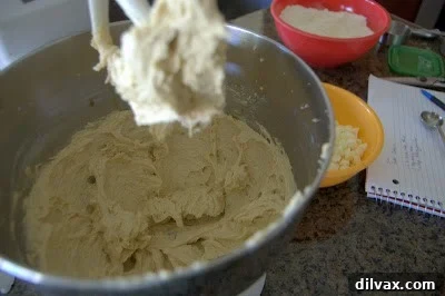 Adding egg, egg yolk, and vanilla extract to the creamed mixture and mixing.