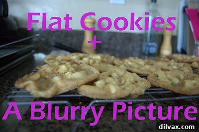 White Chocolate Cake Batter Bliss Bites 8 Close-up of a single baked white chocolate cake batter cookie, showcasing its texture and golden hue.