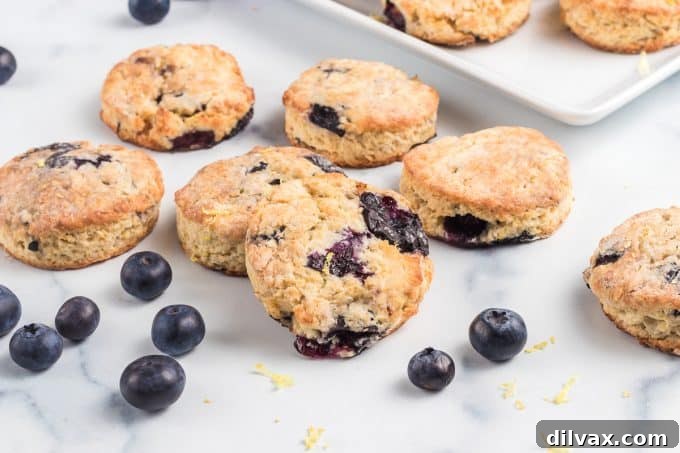Luscious Blueberry Cream Cheese Scones 2 Irresistible Blueberry Cream Cheese Scones