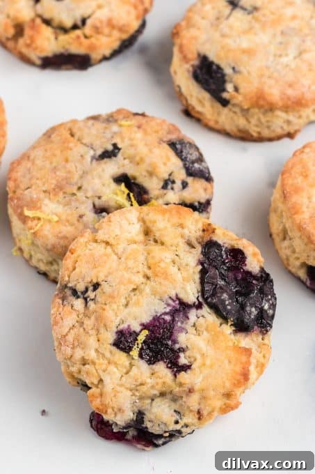 Luscious Blueberry Cream Cheese Scones 3 Beautifully baked Blueberry Cream Cheese Scones
