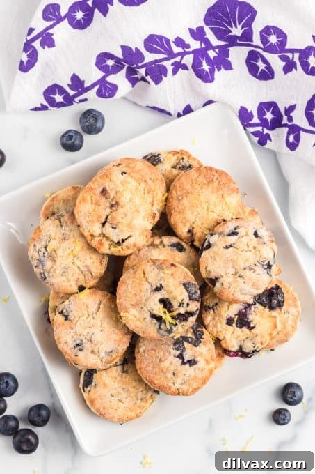 Luscious Blueberry Cream Cheese Scones 8 A beautiful plate of Blueberry Scones, possibly with a hint of lemon