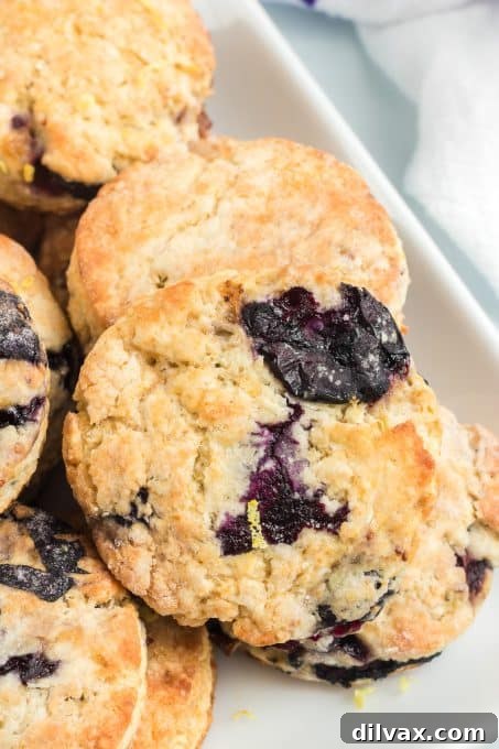 Luscious Blueberry Cream Cheese Scones 9 Close-up of a blueberry scone, highlighting its texture and juicy berries