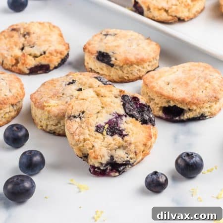 Luscious Blueberry Cream Cheese Scones 10 Blueberry Cream Cheese Scones