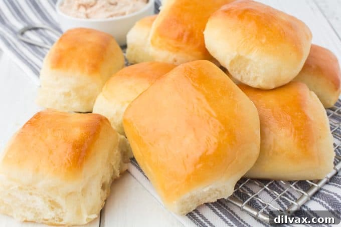 Freshly baked Texas Roadhouse Rolls on a baking sheet, golden brown and ready to serve.