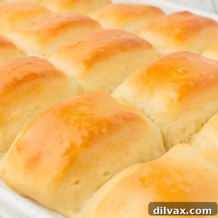 A tray full of Texas Roadhouse Rolls