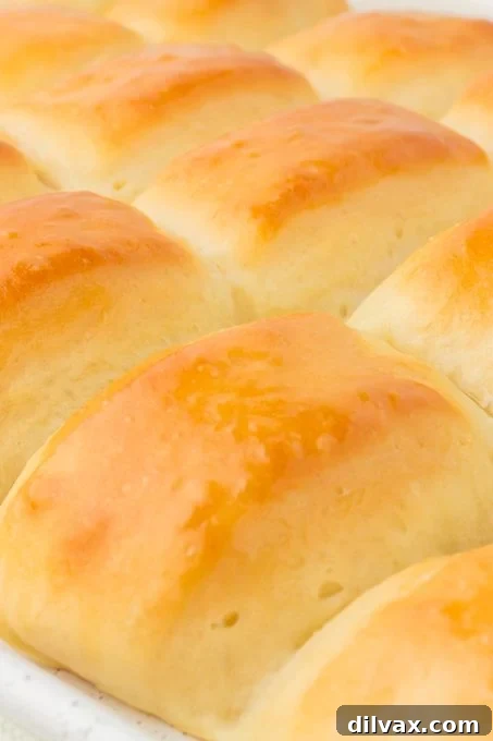 Signature Texas Roadhouse Rolls 3 Close-up of a stack of Copycat Texas Roadhouse Rolls, highlighting their soft texture