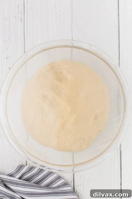 A bowl of dough beautifully proofed and doubled in size, ready for shaping into dinner rolls.