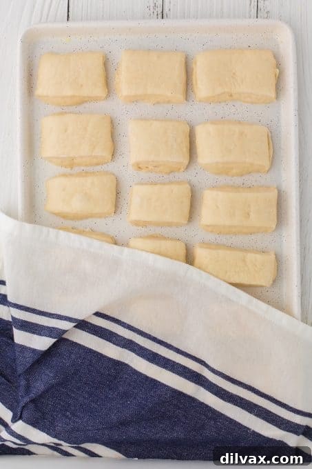 Rows of individual dinner rolls rising on a baking sheet, preparing for the oven.