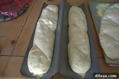French Bread: A Baker's Journey 11 Another shot of the French bread loaves, highlighting the subtle color variations in their crusts.