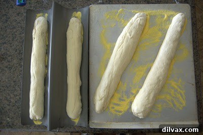 French Bread: A Baker's Journey 7 Close-up on the end of a French bread loaf, revealing its internal crumb structure.