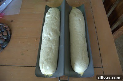 French Bread: A Baker's Journey 8 Several French bread loaves arranged neatly on a cooling rack, showcasing their shape and size.