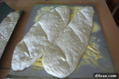 French Bread: A Baker's Journey 10 The profile of a French bread loaf, providing perspective on its volume and overall form.