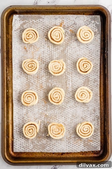 Cinnamon swirls ready for the oven