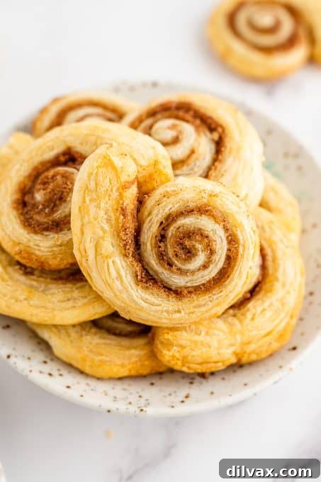 Cinnamon Puff Pastries