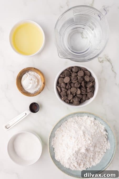 All the simple ingredients laid out for making delicious chocolate chip pancakes.