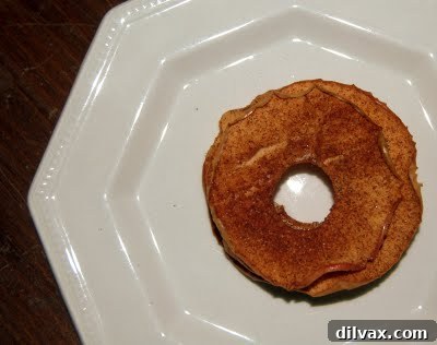 Baked cinnamon apple slices arranged on a plate.