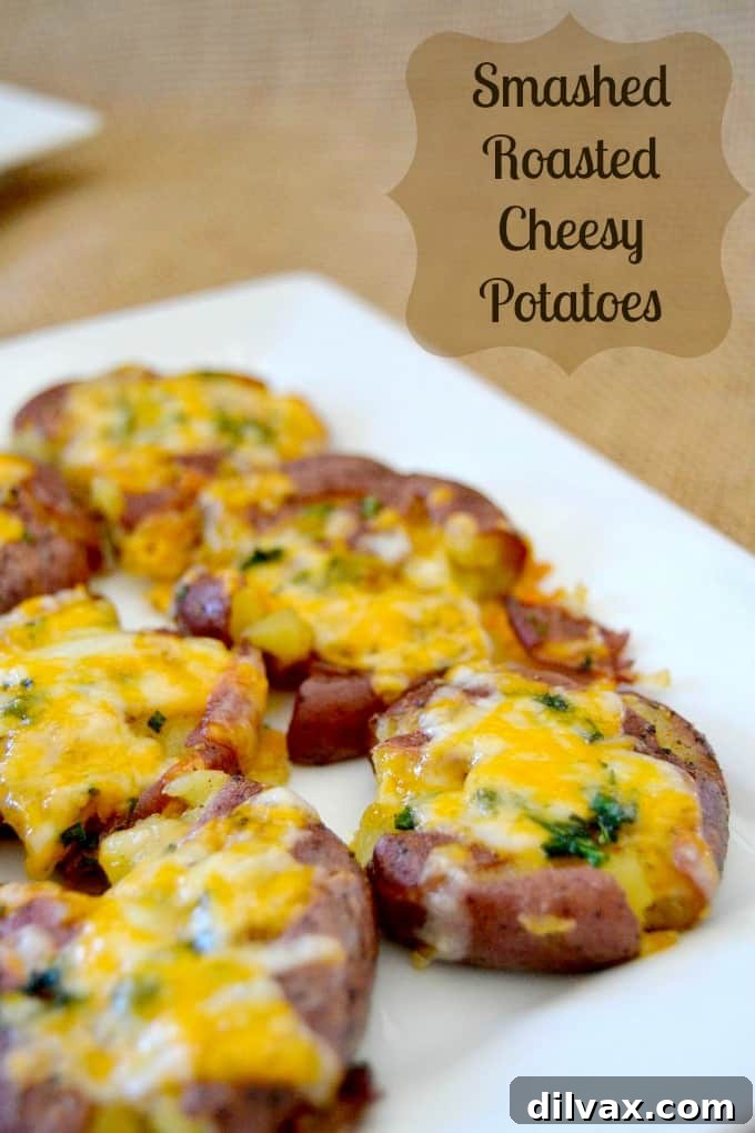 Golden smashed roasted cheesy potatoes garnished with herbs.