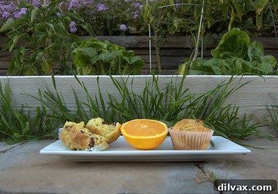 Freshly baked orange cranberry muffins on a cooling rack.