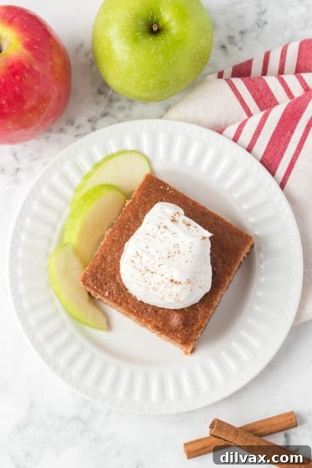 Top view of a freshly baked Applesauce Cake topped with fresh whipped cream.