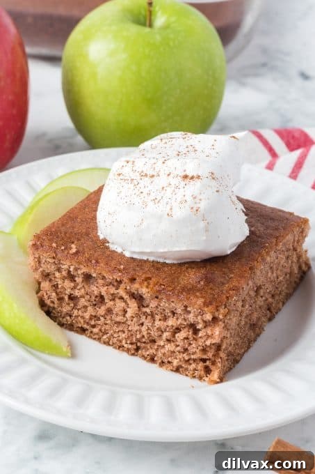 A perfectly baked slice of Applesauce Cake, rich with cinnamon, nutmeg, and applesauce.