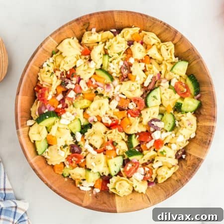 Zesty Greek Tortellini Pasta Salad 10 Greek Tortellini Pasta Salad