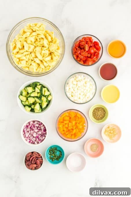 Zesty Greek Tortellini Pasta Salad 3 Ingredients laid out for Greek Tortellini Pasta Salad preparation.